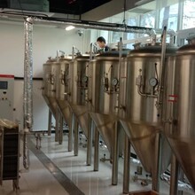 匠心釀造，品味非凡 山東德朗機(jī)械制造引領(lǐng)自釀啤酒設(shè)備新潮流