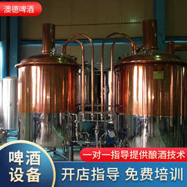 精釀啤酒設(shè)備投資指南 價(jià)格解析與一體機(jī)、分體機(jī)選擇策略